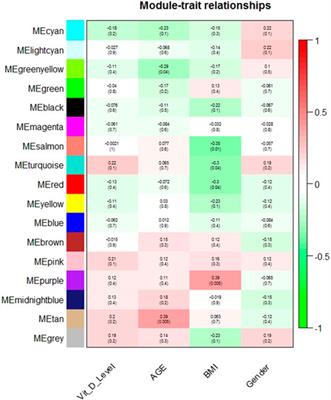 Gene Co-Expression Network Analysis Identifies Vitamin D-Associated Gene Modules in Adult Normal Rectal Epithelium Following Supplementation